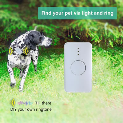 New 4G GPS positioning lk105b 4G pet (dog training) GPS positioning terminal
