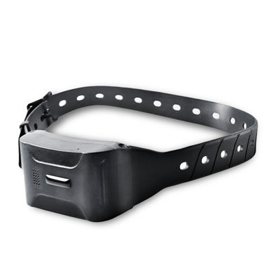 LK800 new 4G tracking / AGPs pet locator vibration dog locator pet training